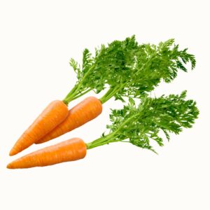 Carrot