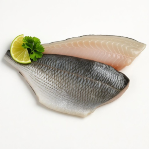 Frozen Sea Bream Fillet
