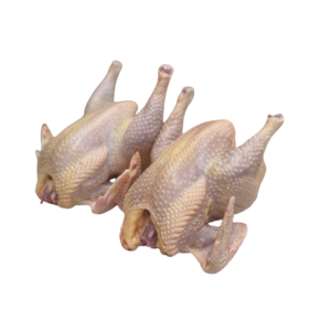 Country Chicken – India