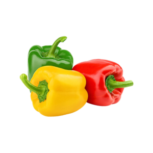 Capsicum