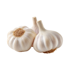 Garlic