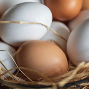 Organic Eggs 30 Pcs – 1 Tray