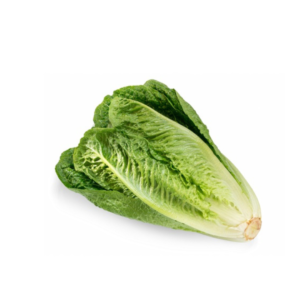 Romaine Lettuce